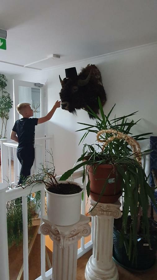 Rada Hotel Hagfors Bagian luar foto